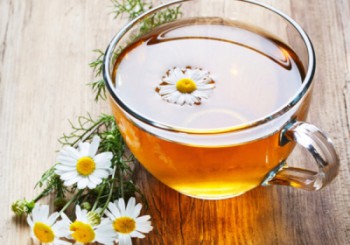 History of Chamomile